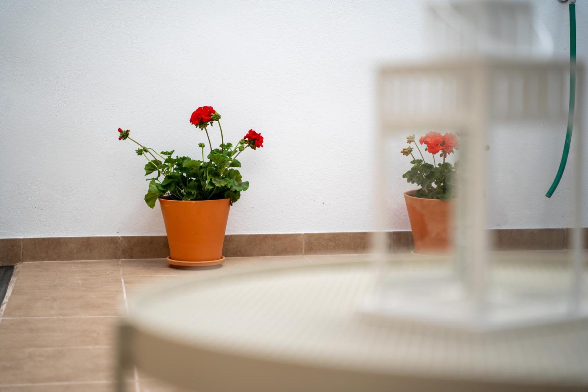 Appartement El Secreto De Chirinos à Úbeda Extérieur photo